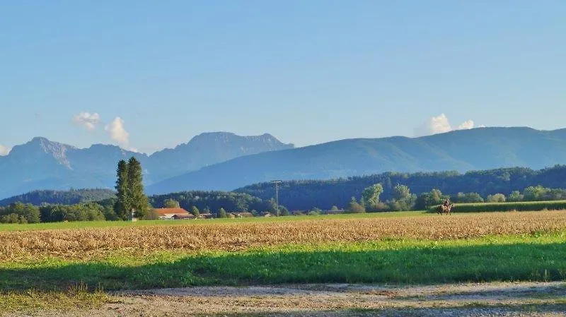 Bauernhof Villa Mühlberger Hof Petting Deutschland